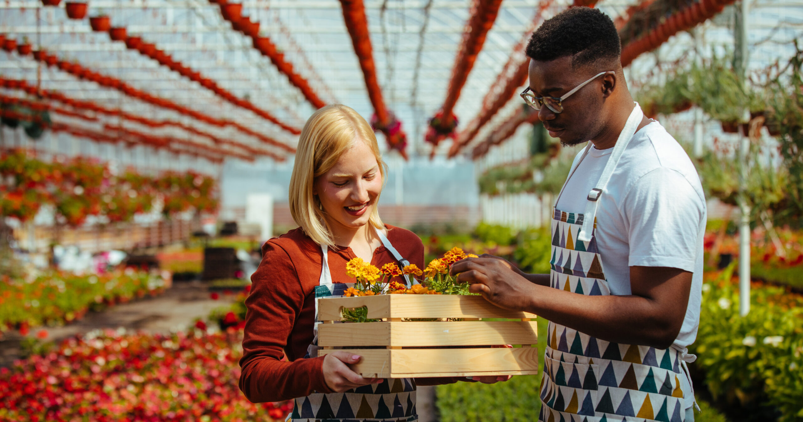 Team of gardeners busily working, arranging, sorting colorful flowers in a sunny industrial greenhouse.