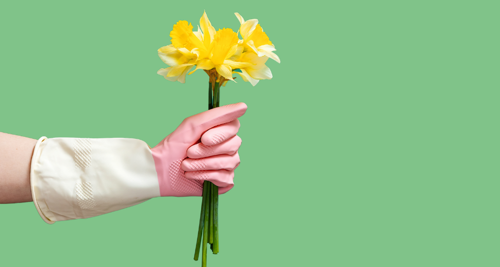 A hand wearing a white and pink rubber gardening glove holds up a handful of bright yellow daffodils against a light green background